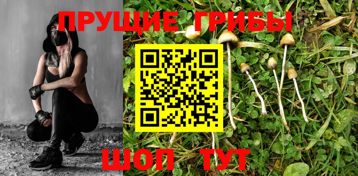 Псилоцибиновые грибы прущие грибы  Вход с VPN  Орск 